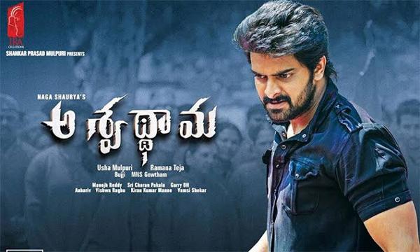 Aswathama Movie review