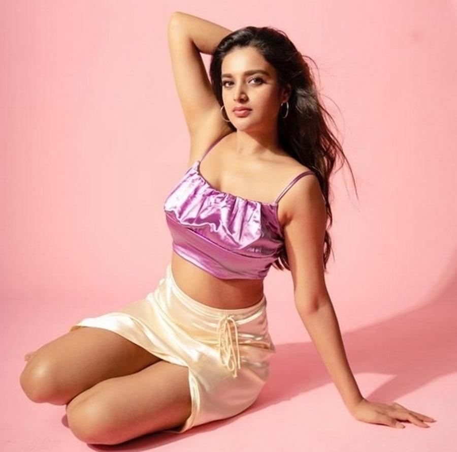 Barbie doll Nidhi Agarwal