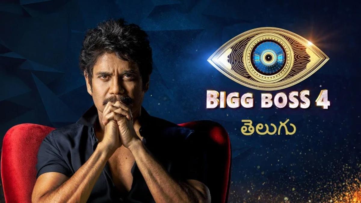 Bigg Boss 4: 3 contestants in danger zone