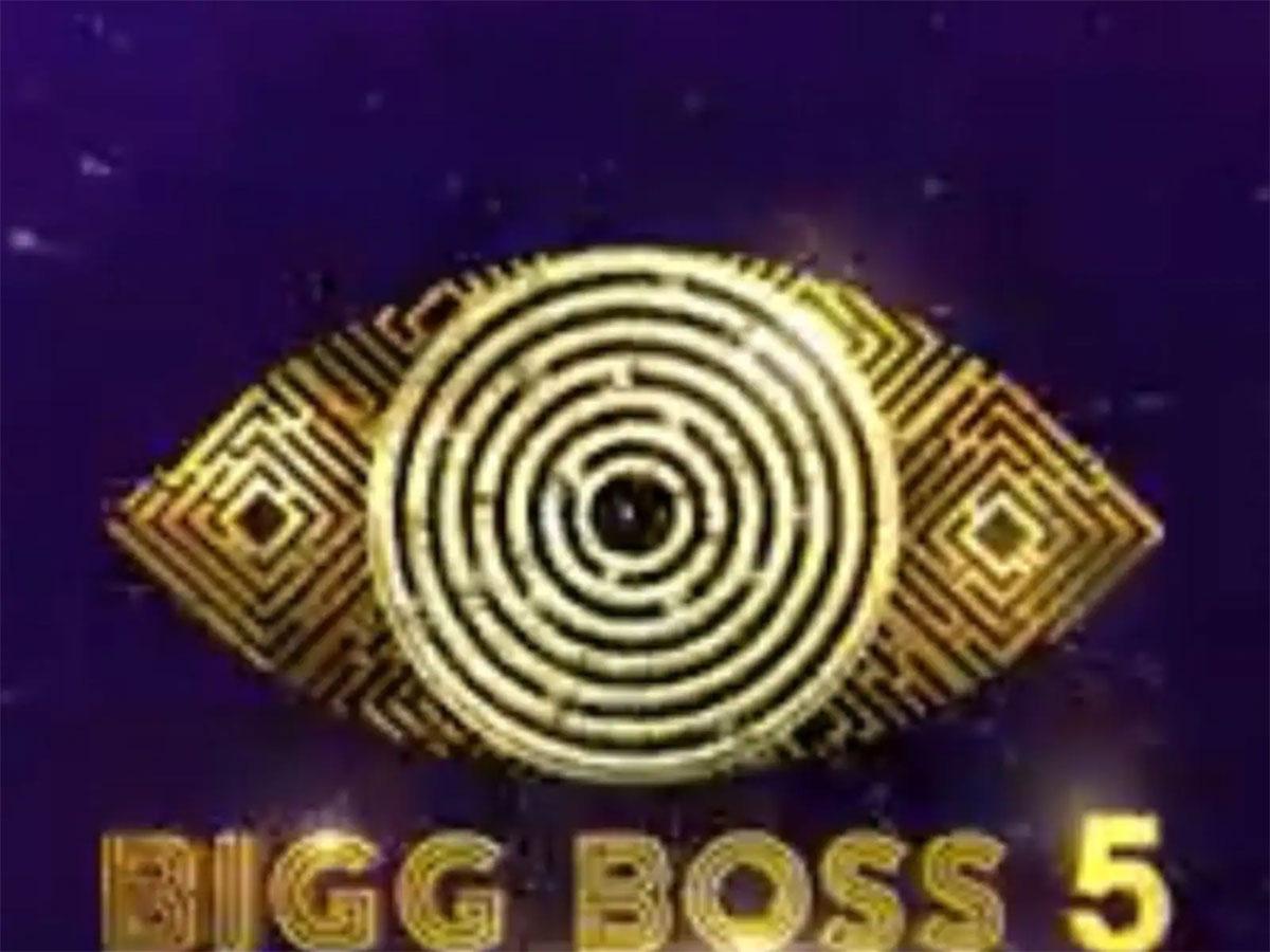 Bigg Boss 5: He was the last captain of Season 5