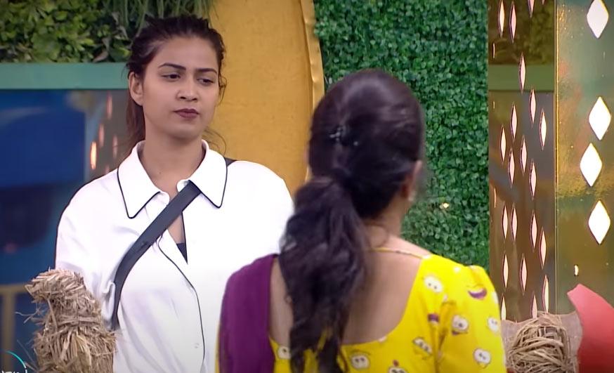 Bigg Boss 6: Inaya vs Housemates