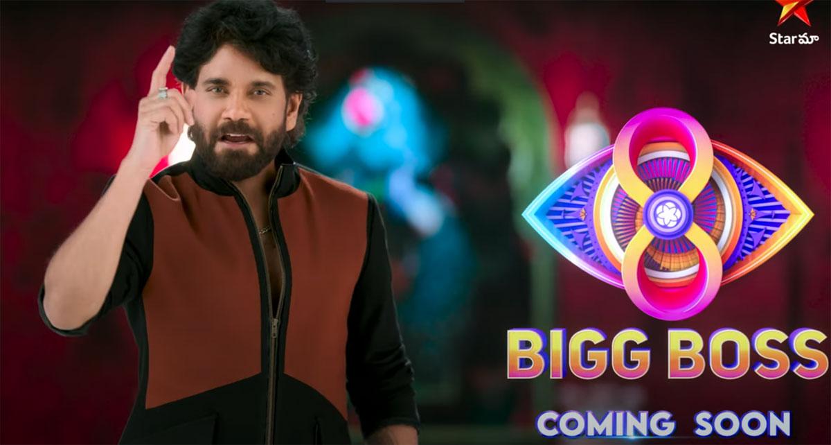 Bigg Boss 8 new promo released