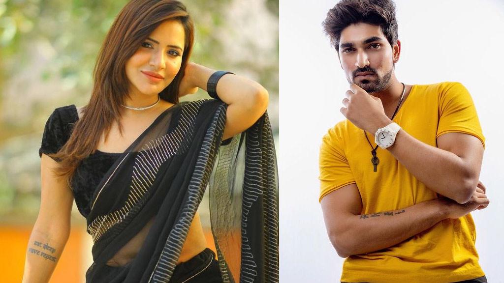 Bigg Boss Non Stop: 2 contestants in danger zone