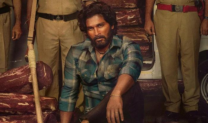 Bollywood Actor in Bunny Pushpa Villain role 