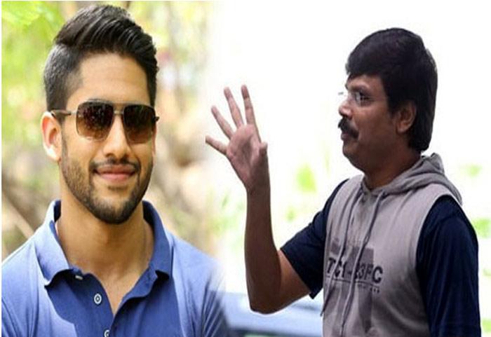 Boyapati Sreenu Movie With Naga Chaitanya