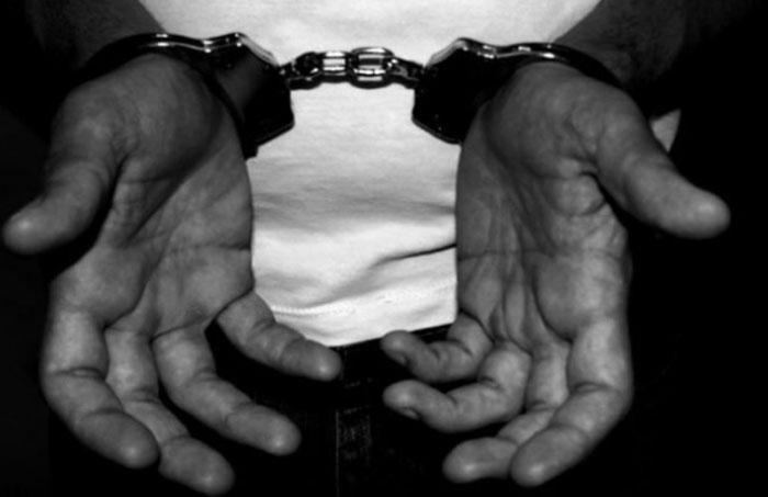 Chicago Sex Racket Latest Update