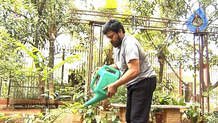 Chiranjeevi Challenges Pawan Kalyan