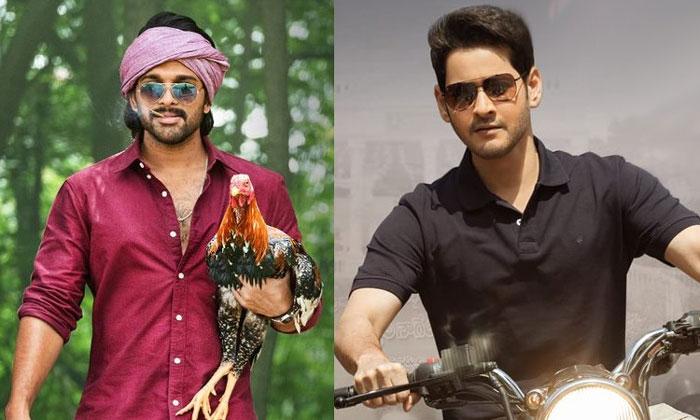 Confusion in Mahesh Babu and Allu Arjun Fans