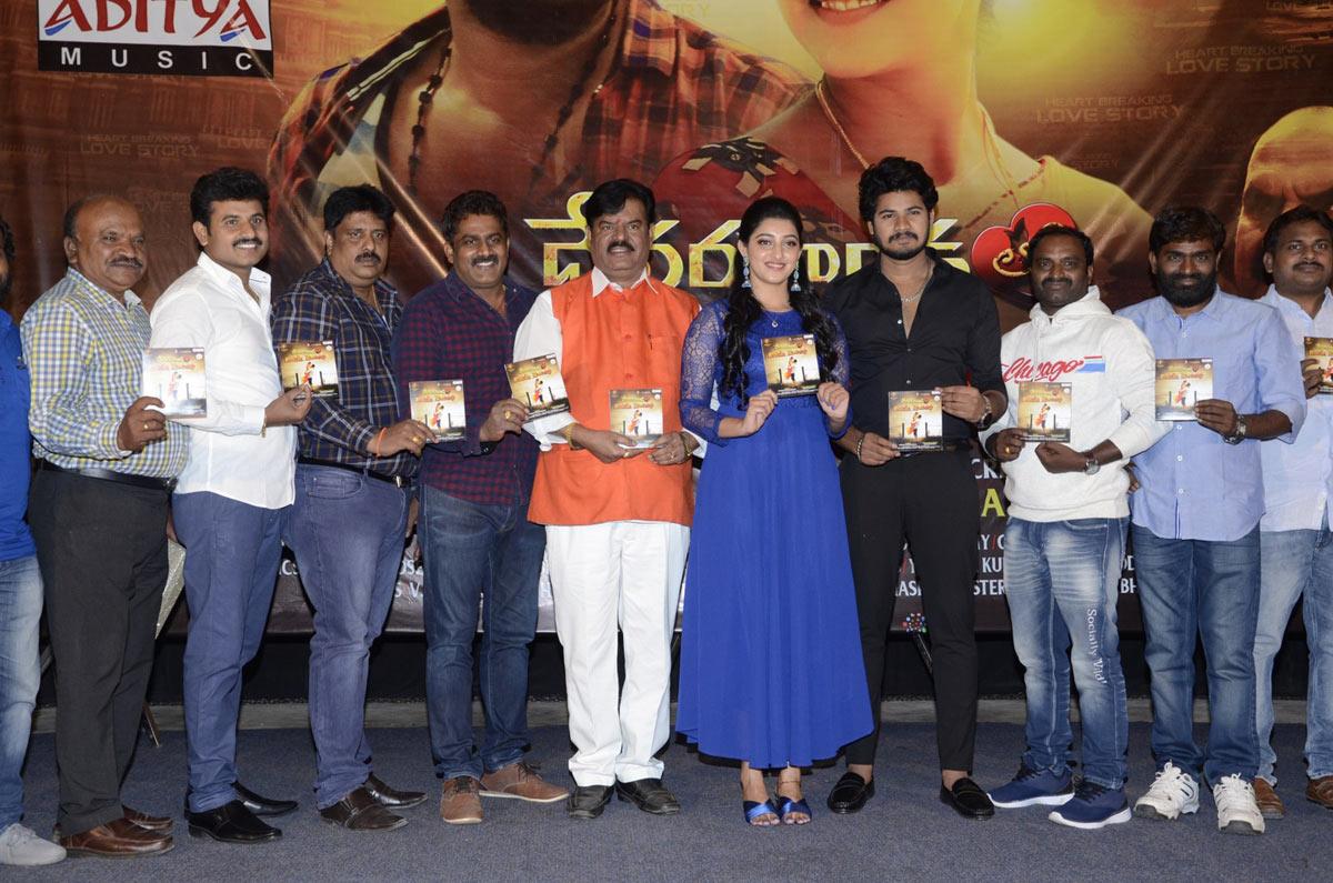Devarakonda lo Vijay Prema Katha movie pre release event