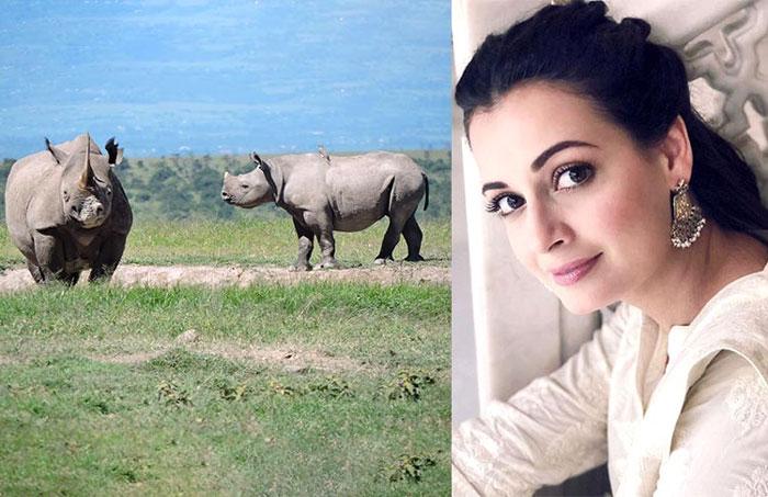 Dia Mirza  Name to Animals 