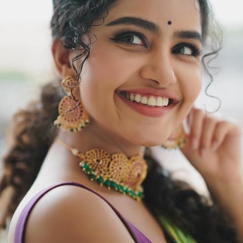 Did Anupama career end in Telugu?