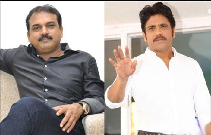 Director Koratala Siva Rejects Nagarjuna Offer For Akhil