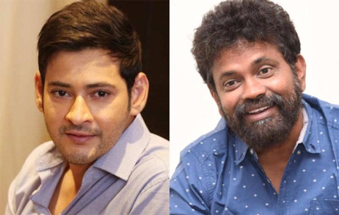 Director Sukumar asks apologies to Super Star Mahesh Babu