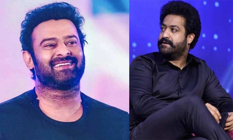 Disappointed for NTR fans