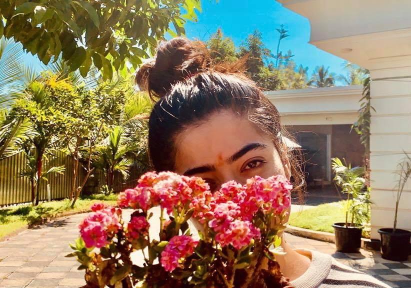 Flower beauty Rashmika