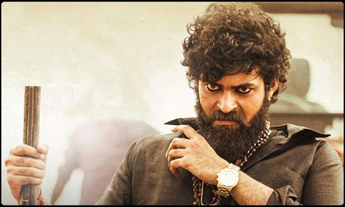 Gaddalakonda Ganesh Movie Collections Dropped