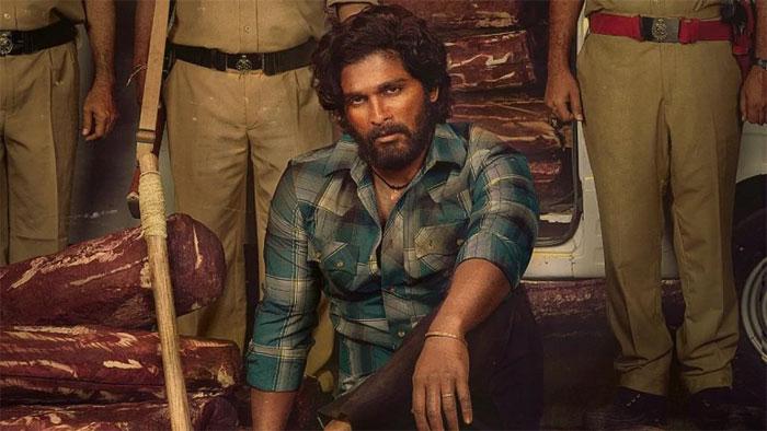 Gossips started on Pushpa Movie story