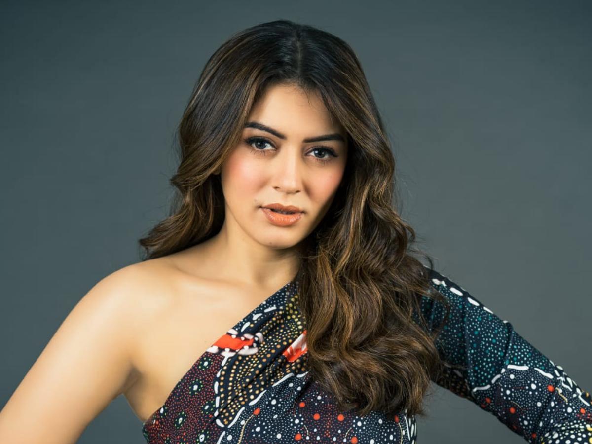 Hansika Comments About Her Marriage