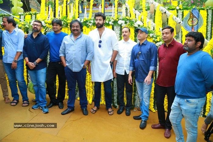 Hero Fixed for Valmiki Movie