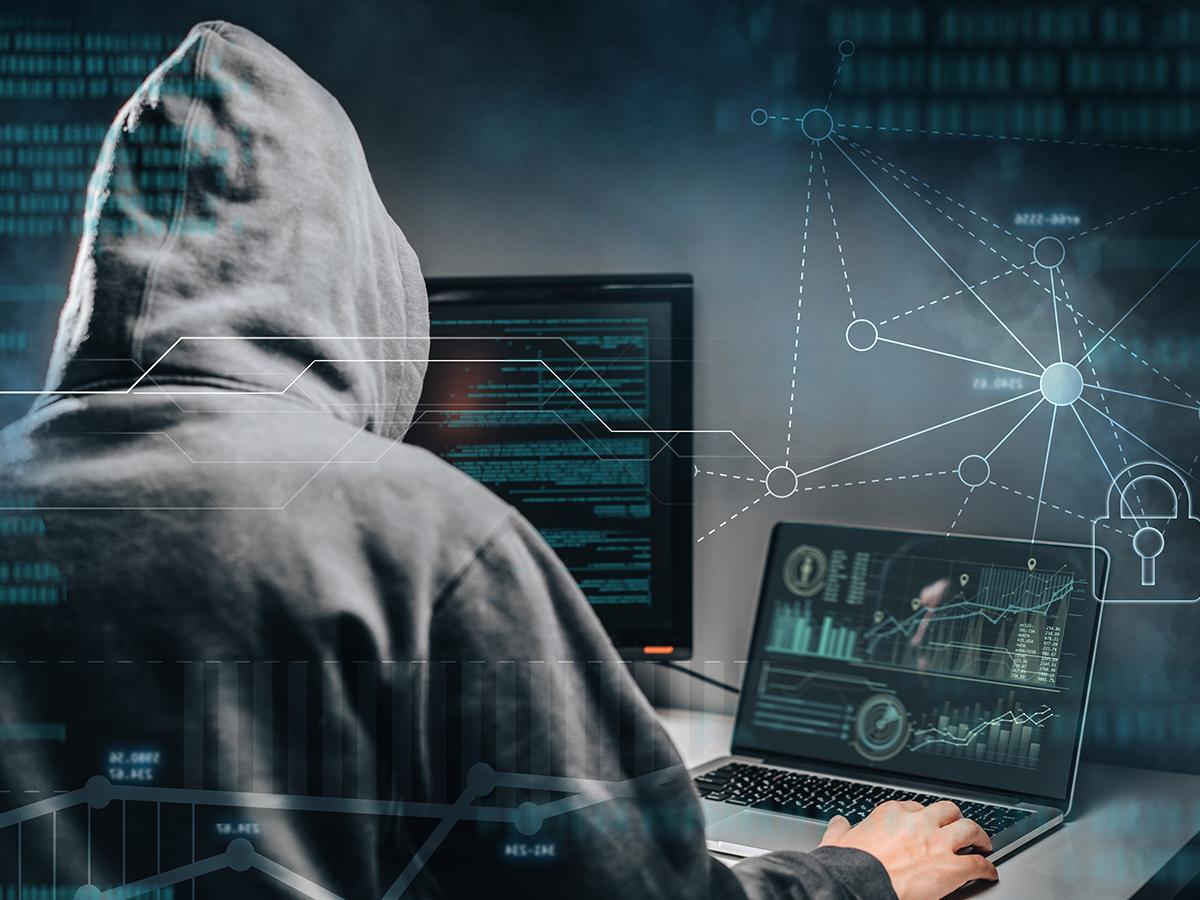 Is piracy good for young heroes