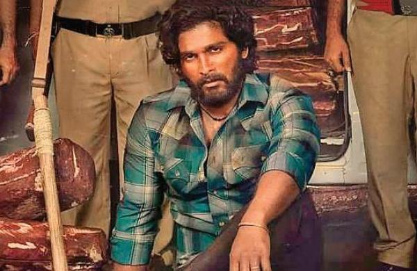 Item song in Pushapa movie
