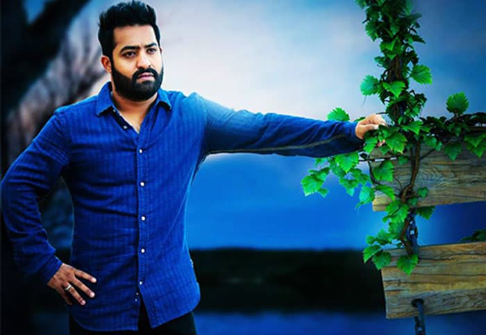 Janatha Garage Sentiment to Jr NTR