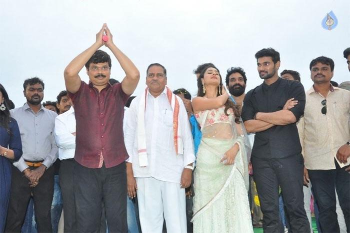Jaya Janaki Nayaka Vijayotsava Veduka Details
