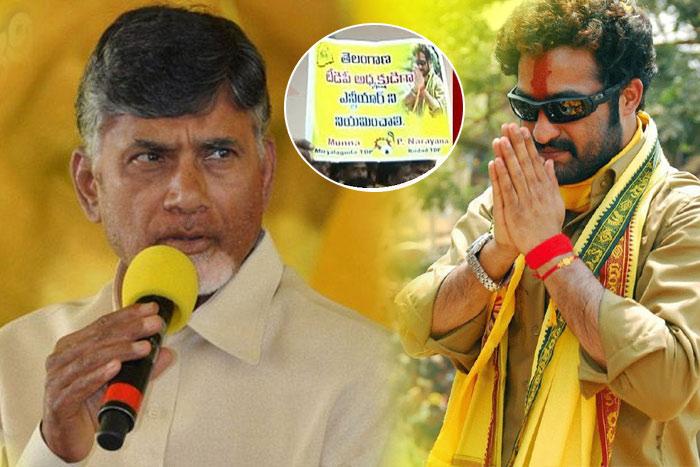 Jr NTRâ€™s Name Proposed For Telangana TDP President Post
