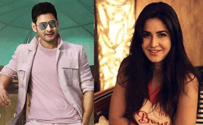 Katrina Kaif Gives Clarity on Mahesh Babu Movie Chance