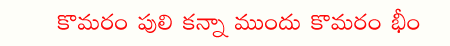 CineJosh news