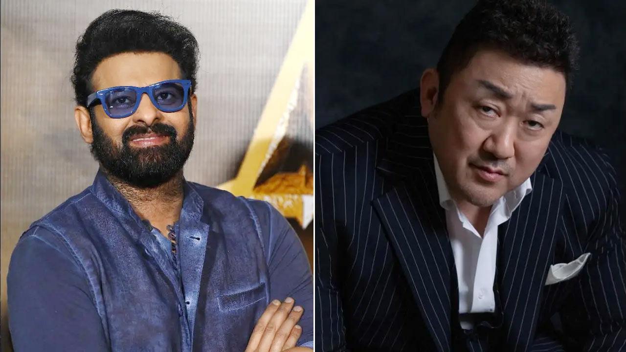 Korean star in Prabhas Spirit?