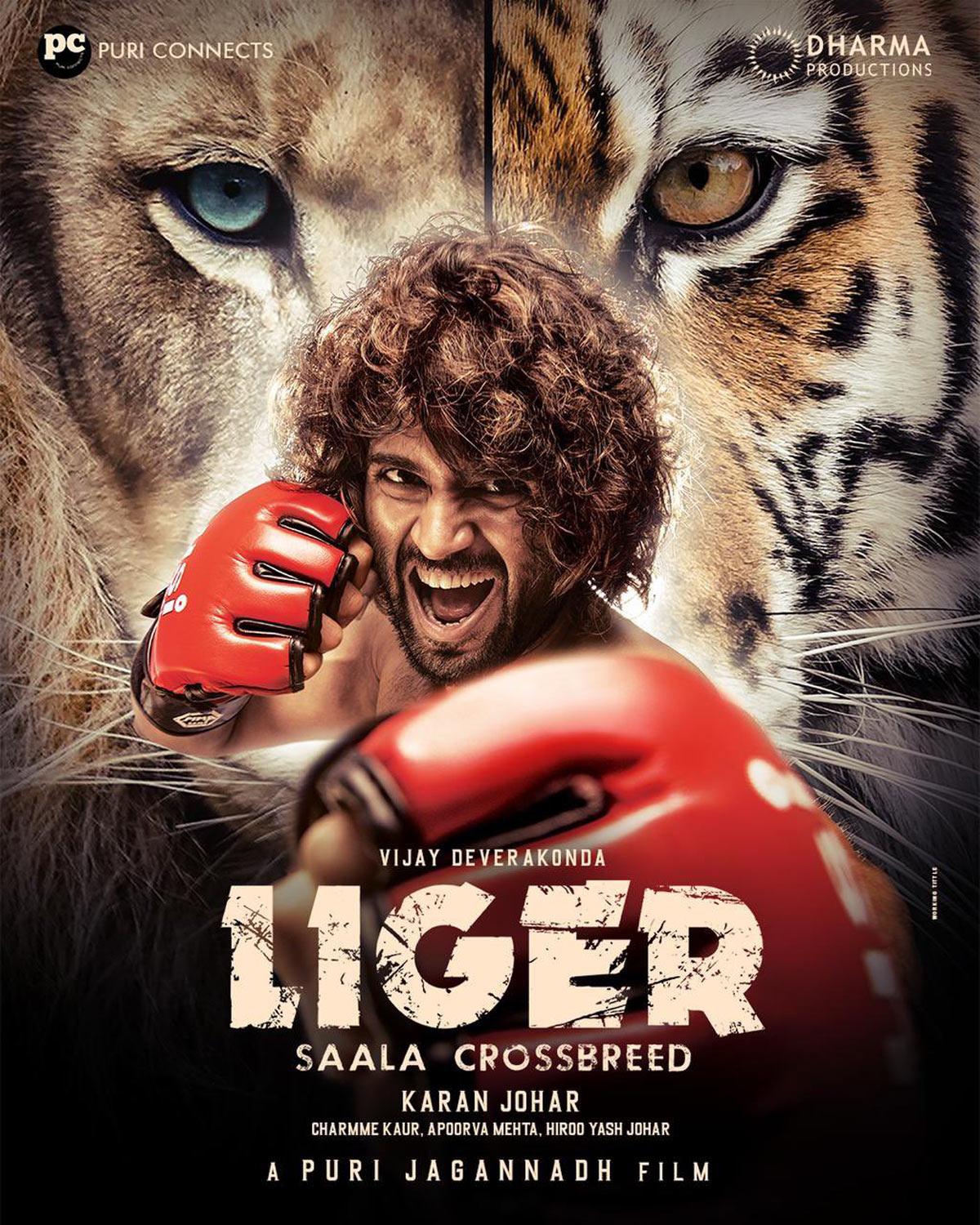 Latest update on Vijay Liger budget