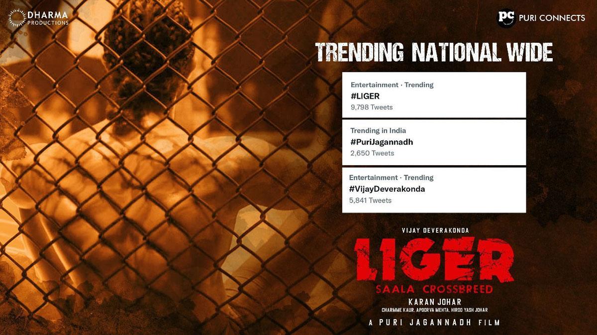 LIGER First Glimpse Date And Time Locked