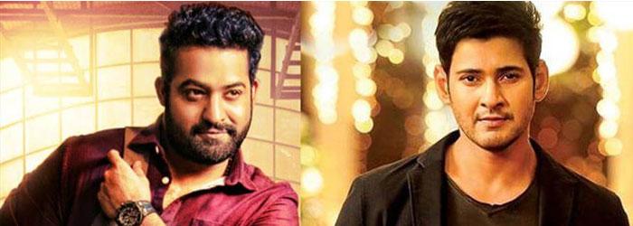 Mahesh And NTR Prefer Rayalaseema
