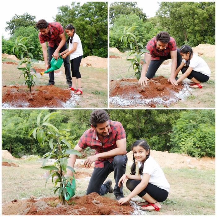 Mahesh Babu Accepted KTR's Green Challenge