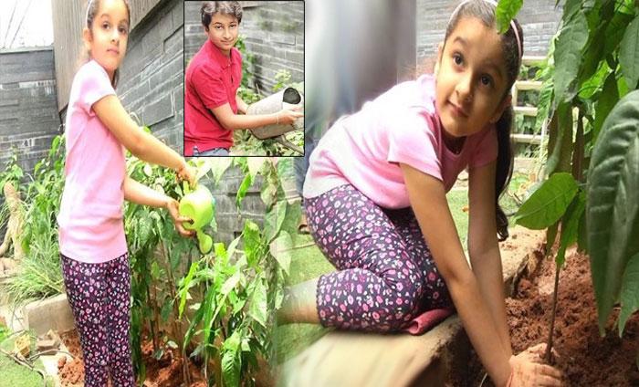 Mahesh Babu Kids Accepted the Green Challenge