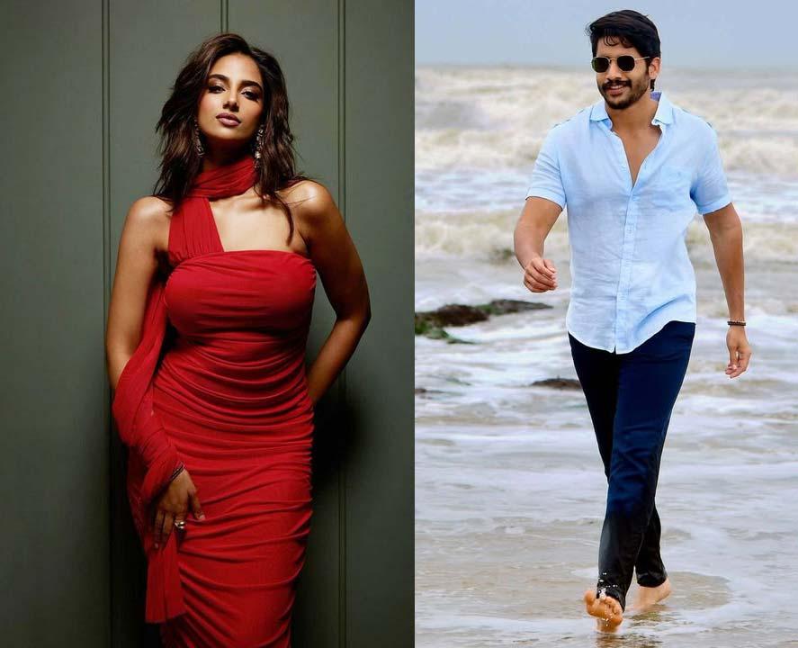 Meenakshi Chaudhary To Romance Naga Chaitanya