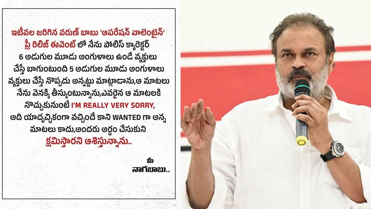 Mega Brother Says Sorry