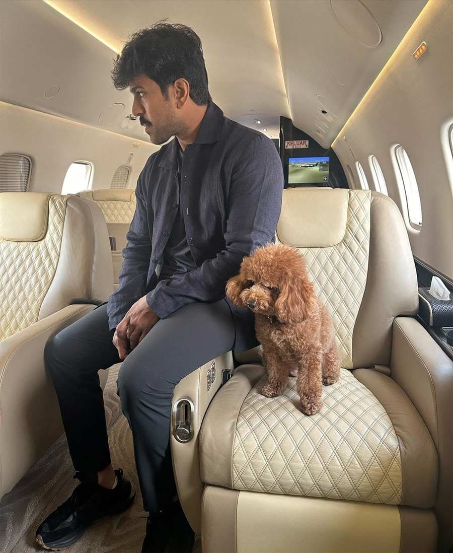 Mega heroes in vacation mode