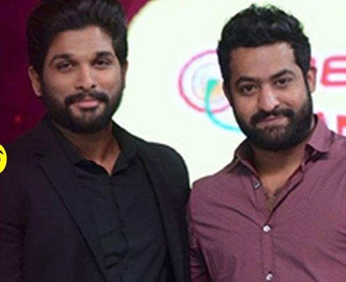 Naa Peru Surya Not NTR Story, It's Only for Bunny
