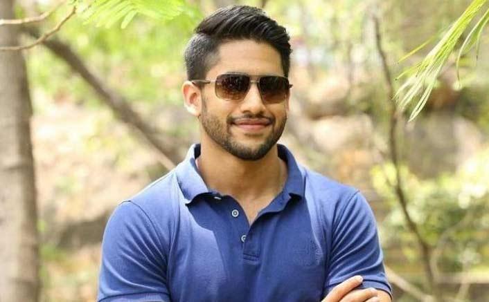 Naga Chaitanya focus on career 