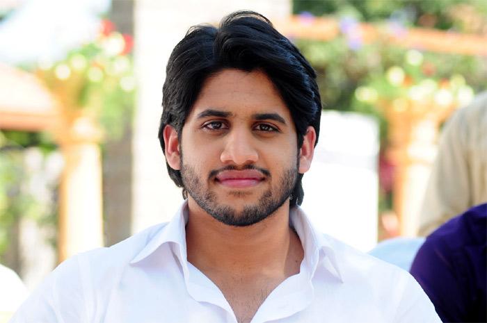 Naga Chaitanya Focus on Tollywood