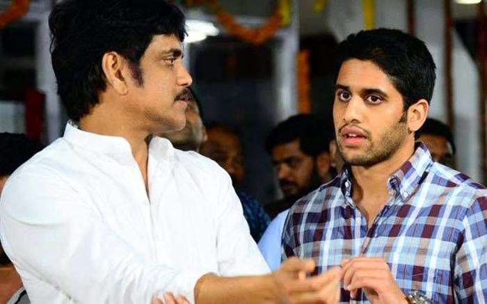 Naga Chaitanya Key role In Nag Movie!!