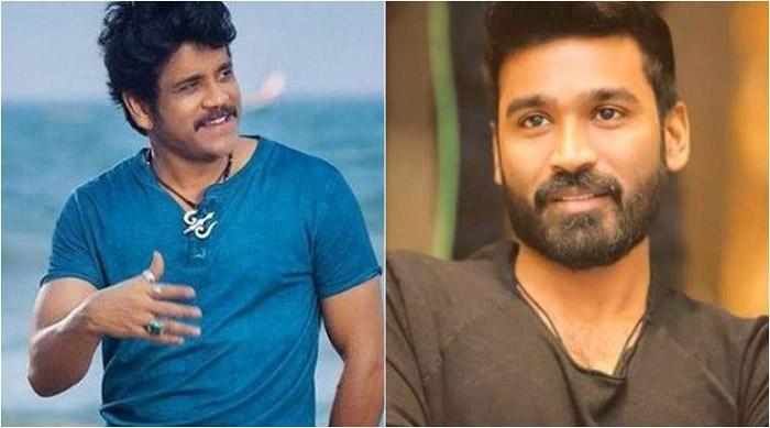 Nagajuna Key Role in Dhanush Film