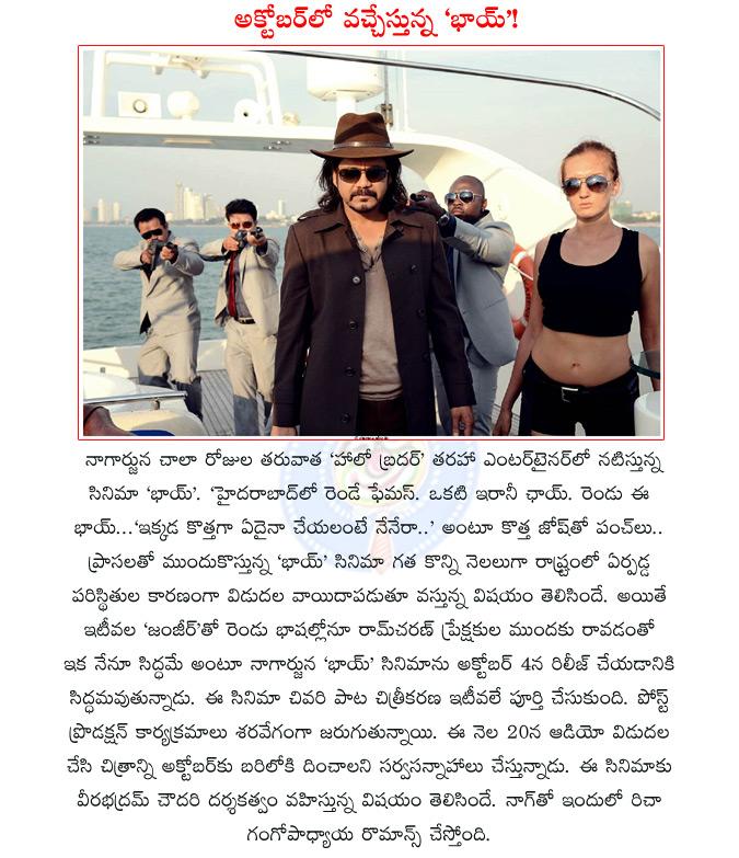 CineJosh news