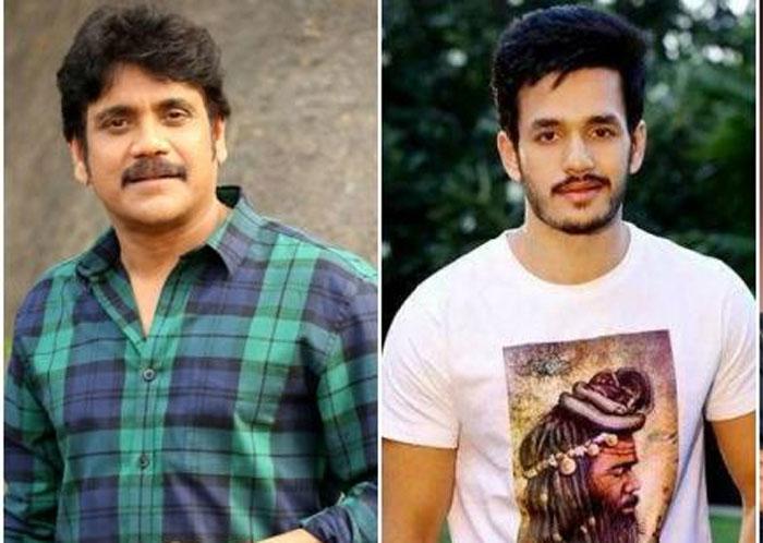 Nagarjuna Eye on Akhil Most Eligible Bachelor Movie