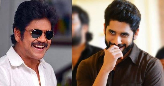 Nagarjuna Eye on Star Directors for Chaitu