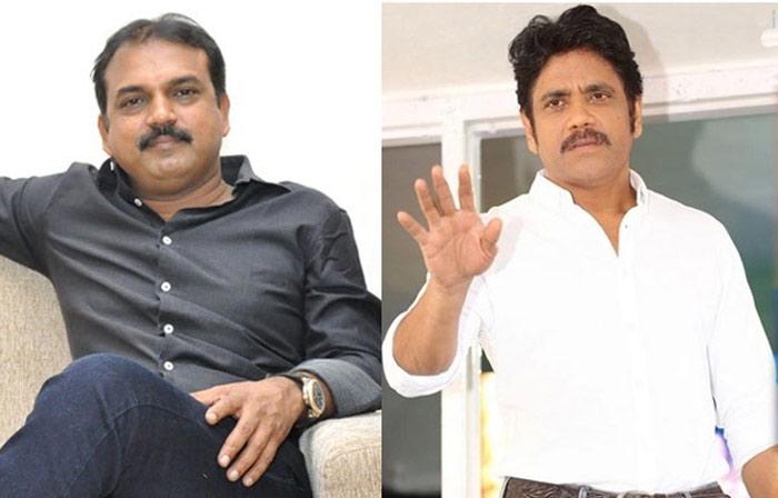 Nagarjuna Sketch for Koratala and Akhil Film