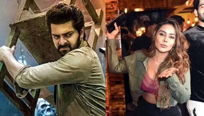 News About Mega Heros and Sree Reddy