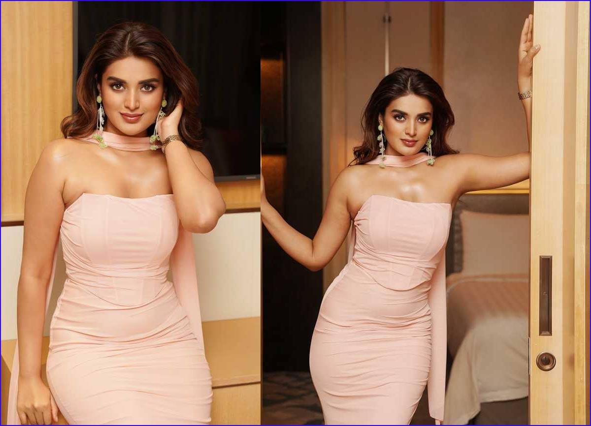 Nidhi Agarwal latest look viral